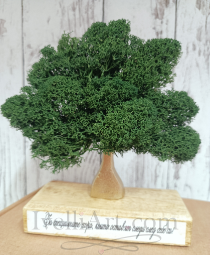 Дървото на живота от скандинавски мъх 